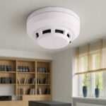 49f1a328df0fffd5ee730906c2c6e660